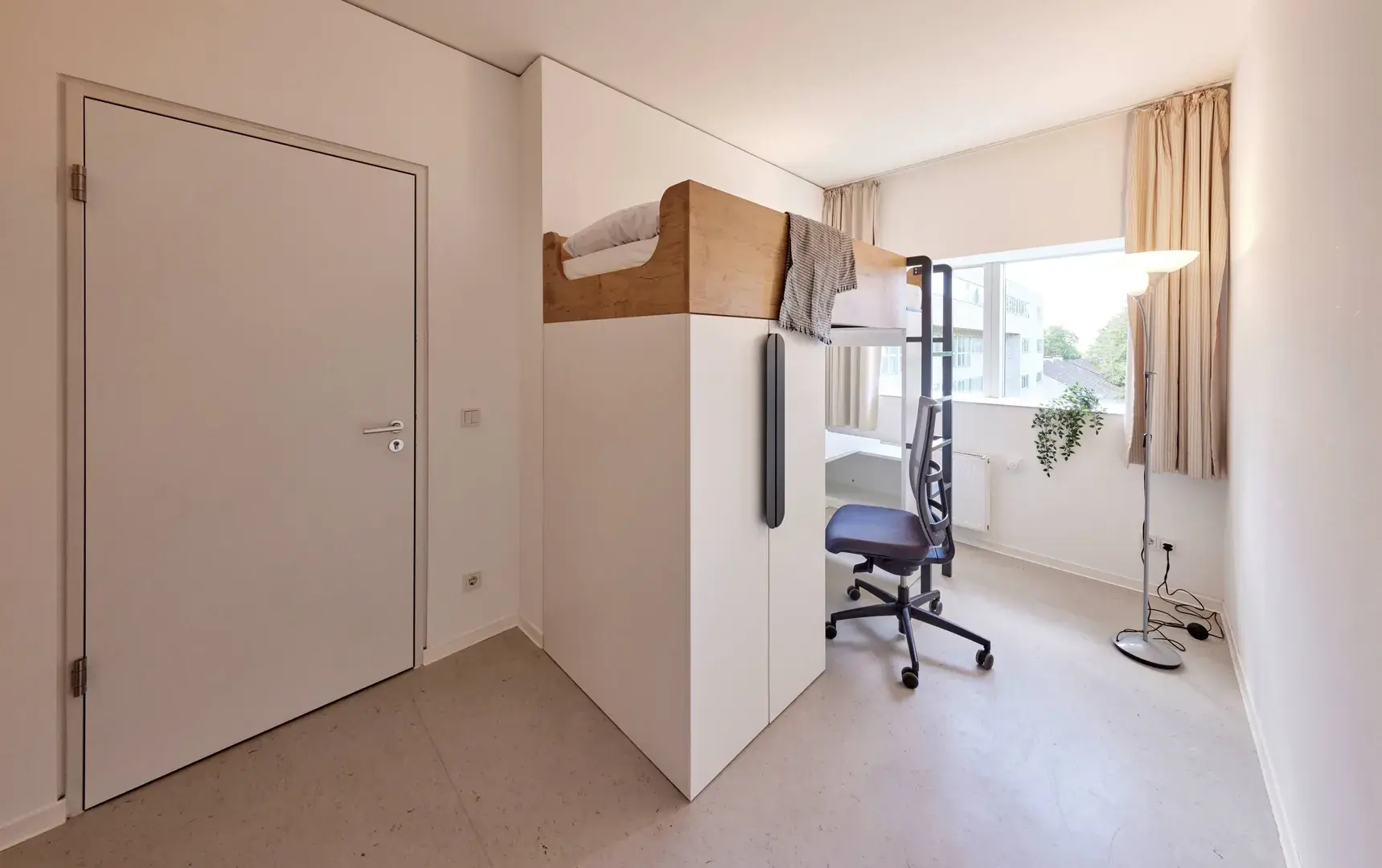 constructor dorm_webp